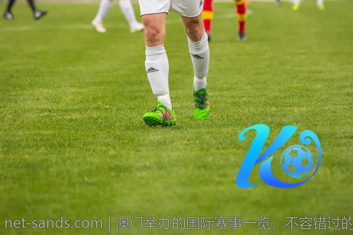 澳门举办的国际赛事一览，不容错过的精彩