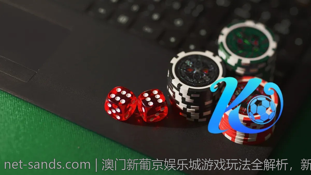 澳门新葡京娱乐城游戏玩法全解析，新手必读