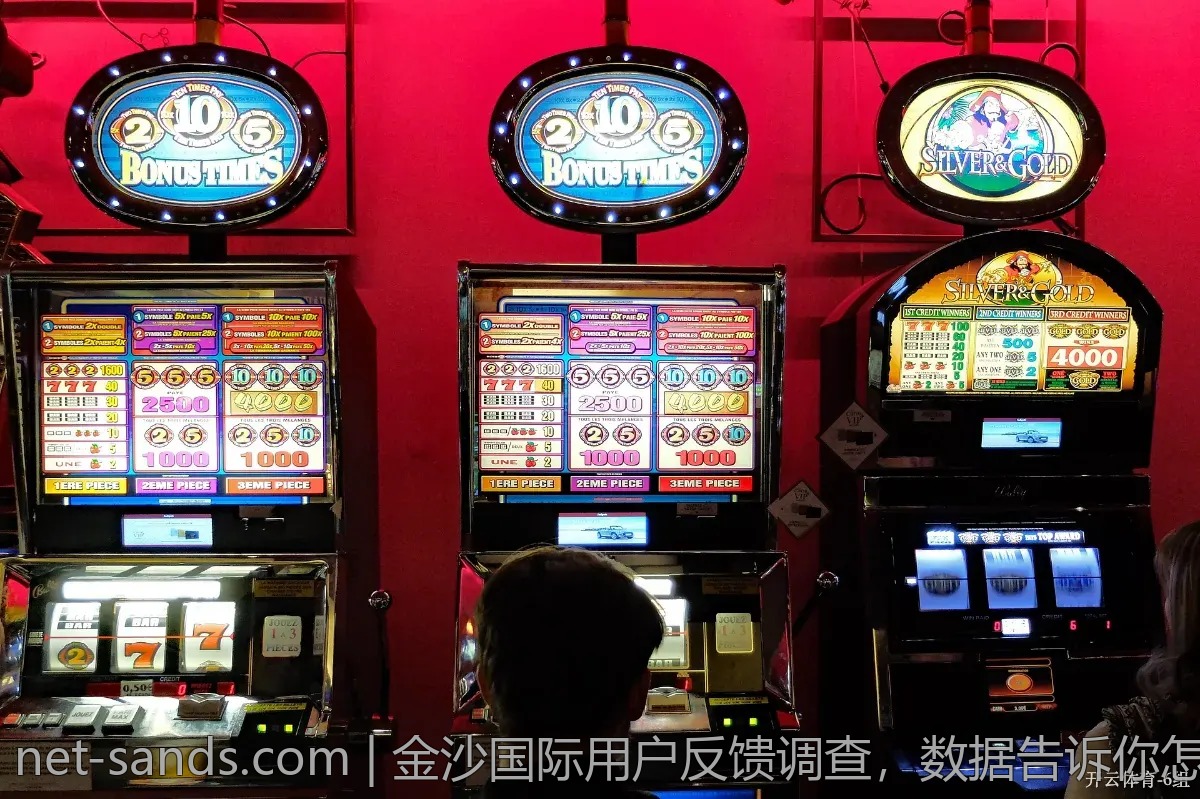 金沙国际用户反馈调查，数据告诉你怎样玩更开心