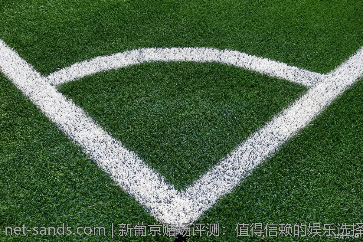 新葡京赌场评测：值得信赖的娱乐选择