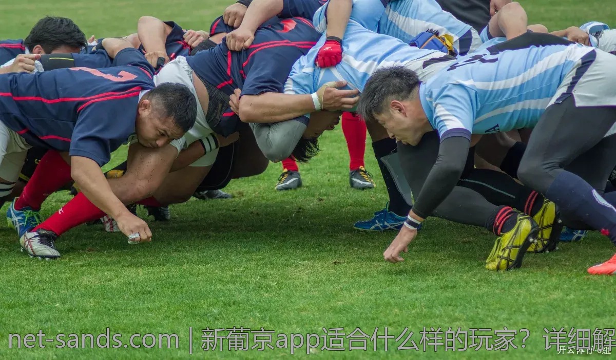 新葡京app适合什么样的玩家？详细解析