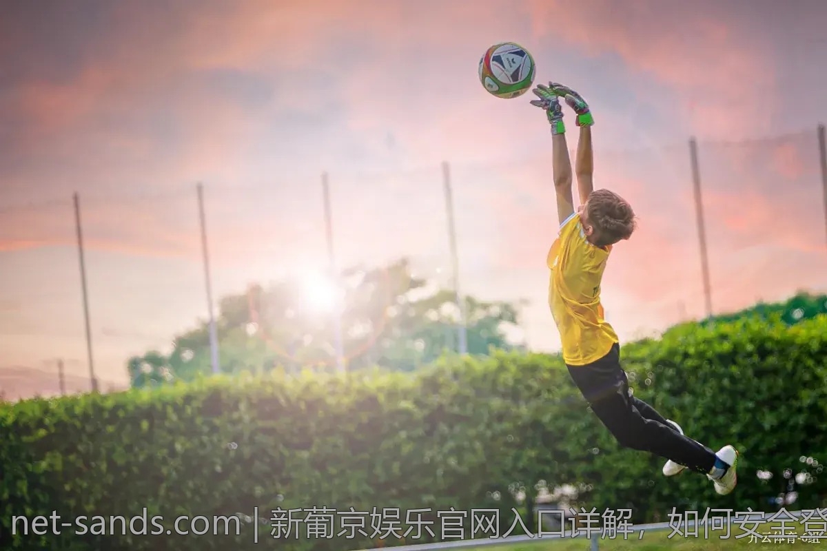 新葡京娱乐官网入口详解，如何安全登录？