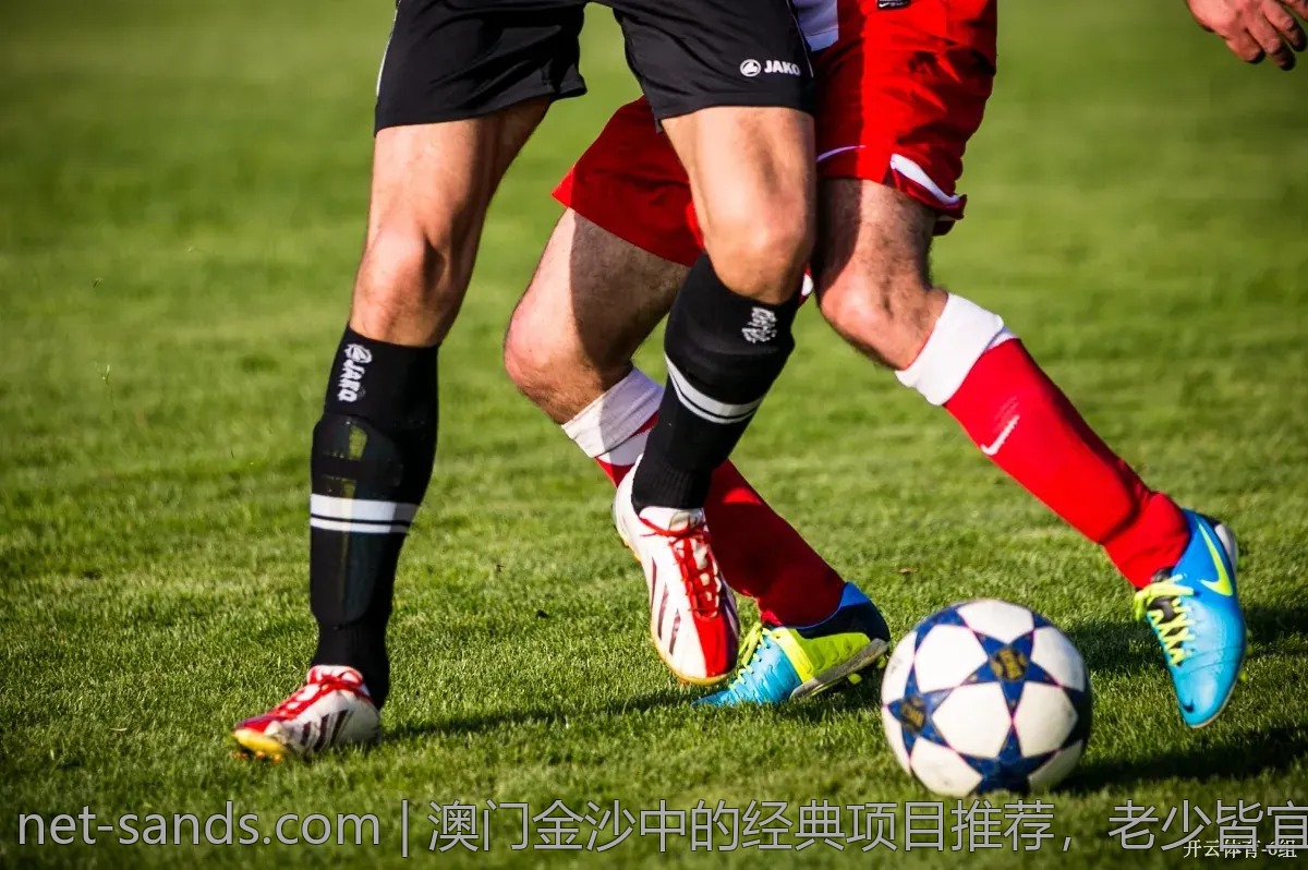 澳门金沙中的经典项目推荐，老少皆宜