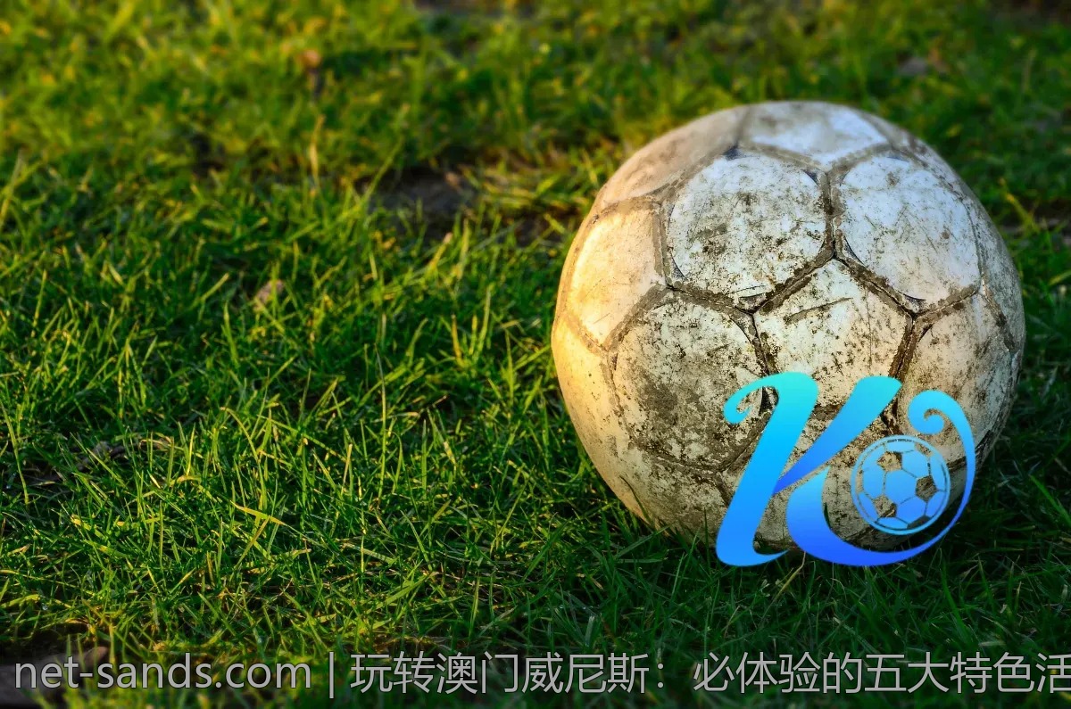 玩转澳门威尼斯：必体验的五大特色活动